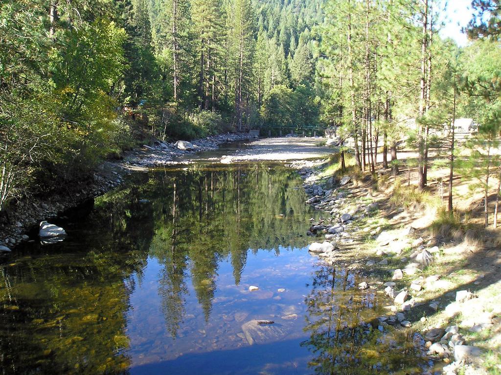 Hotel Yosemite Lakes Bunkhouse Cabin 27 Harden Flat Exterior foto